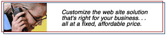 Customize the web site solution